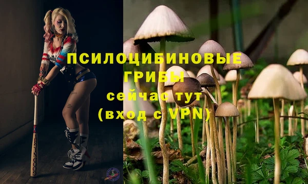 гидропоника Абинск