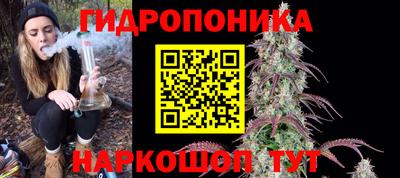 эйфоретик Аша