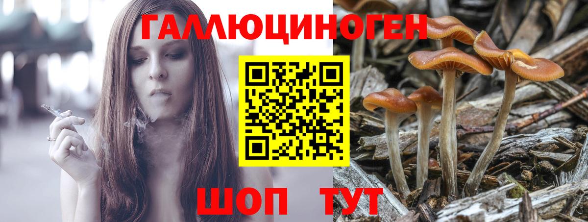 Мефедрон   Шадринск  Вход с VPN  МАРИХУАНА  Кетамин  MDMA  Канабис  ГАШ  Alpha PVP СОЛЬ  