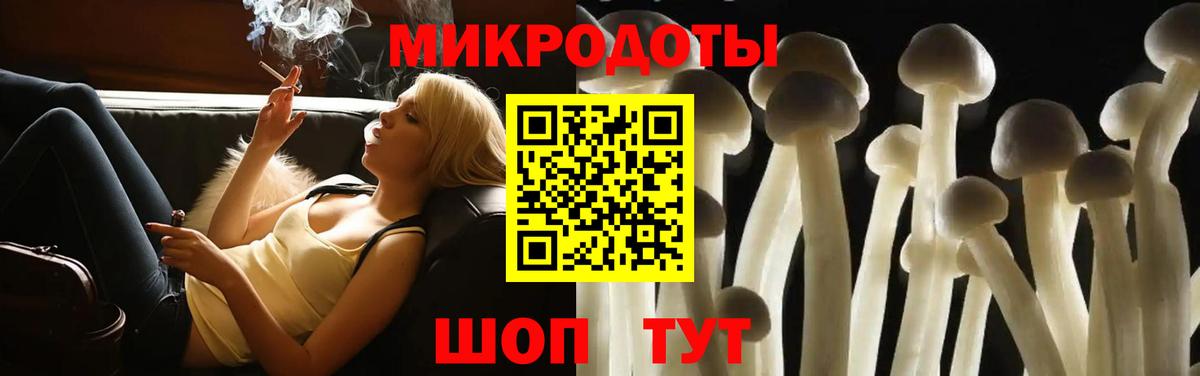 Шадринск  магазин  наркотиков  Вход с VPN  Псилоцибиновые грибы MAGIC MUSHROOMS 