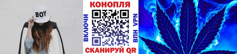 Бошки Шишки план  Шадринск 